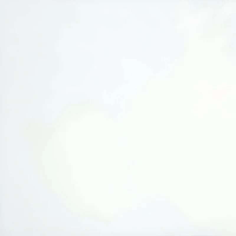 2026_06_12_411307